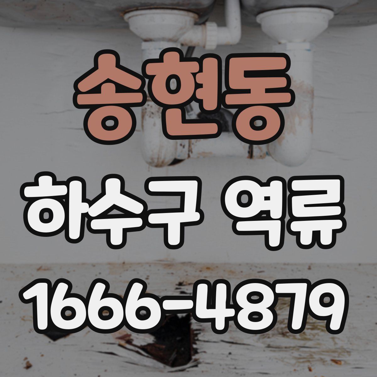 송현동 하수구 역류