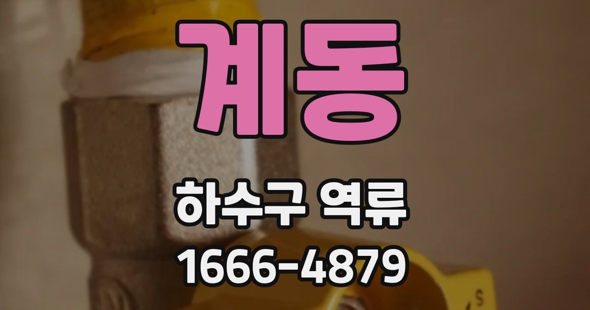 계동 하수구 역류