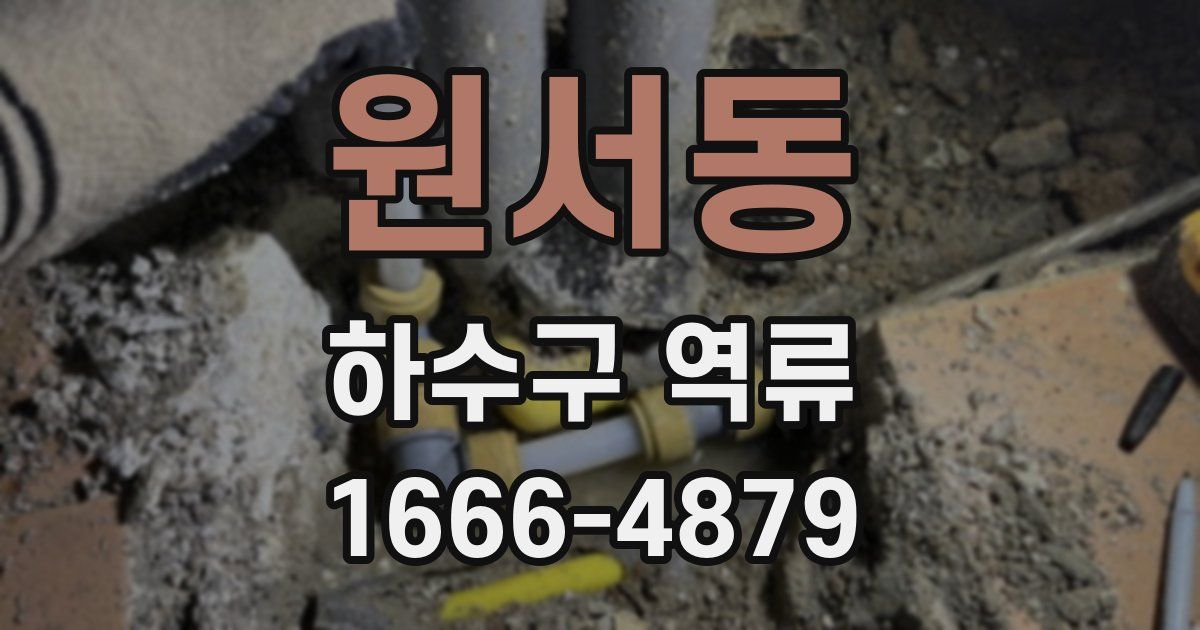 원서동 하수구 역류