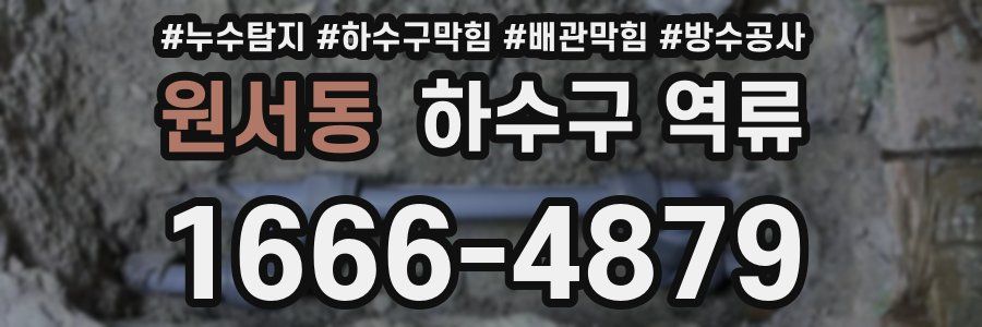 원서동 하수구 역류