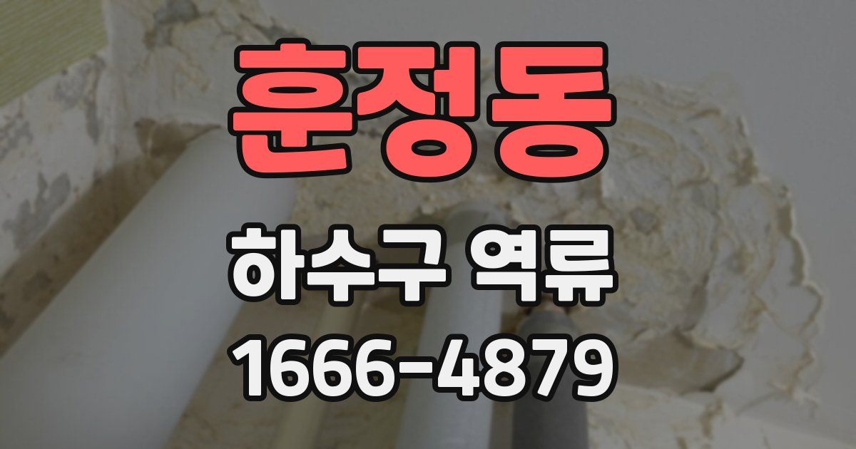 훈정동 하수구 역류