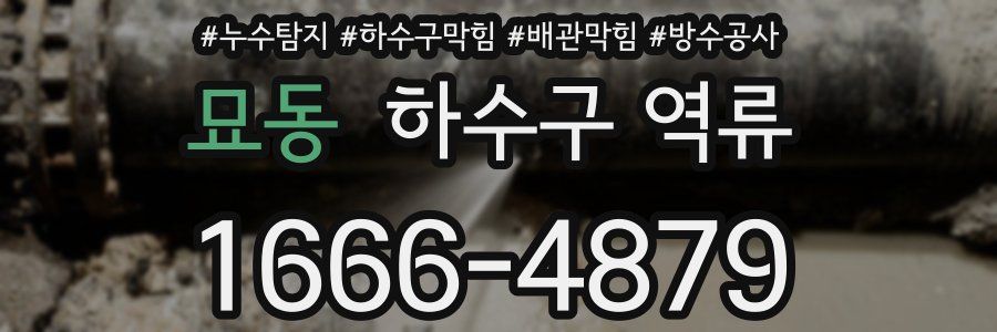 묘동 하수구 역류