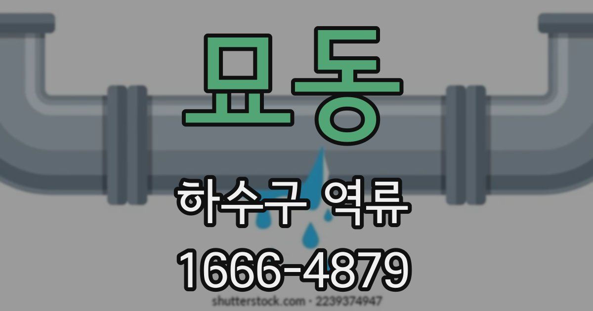 묘동 하수구 역류