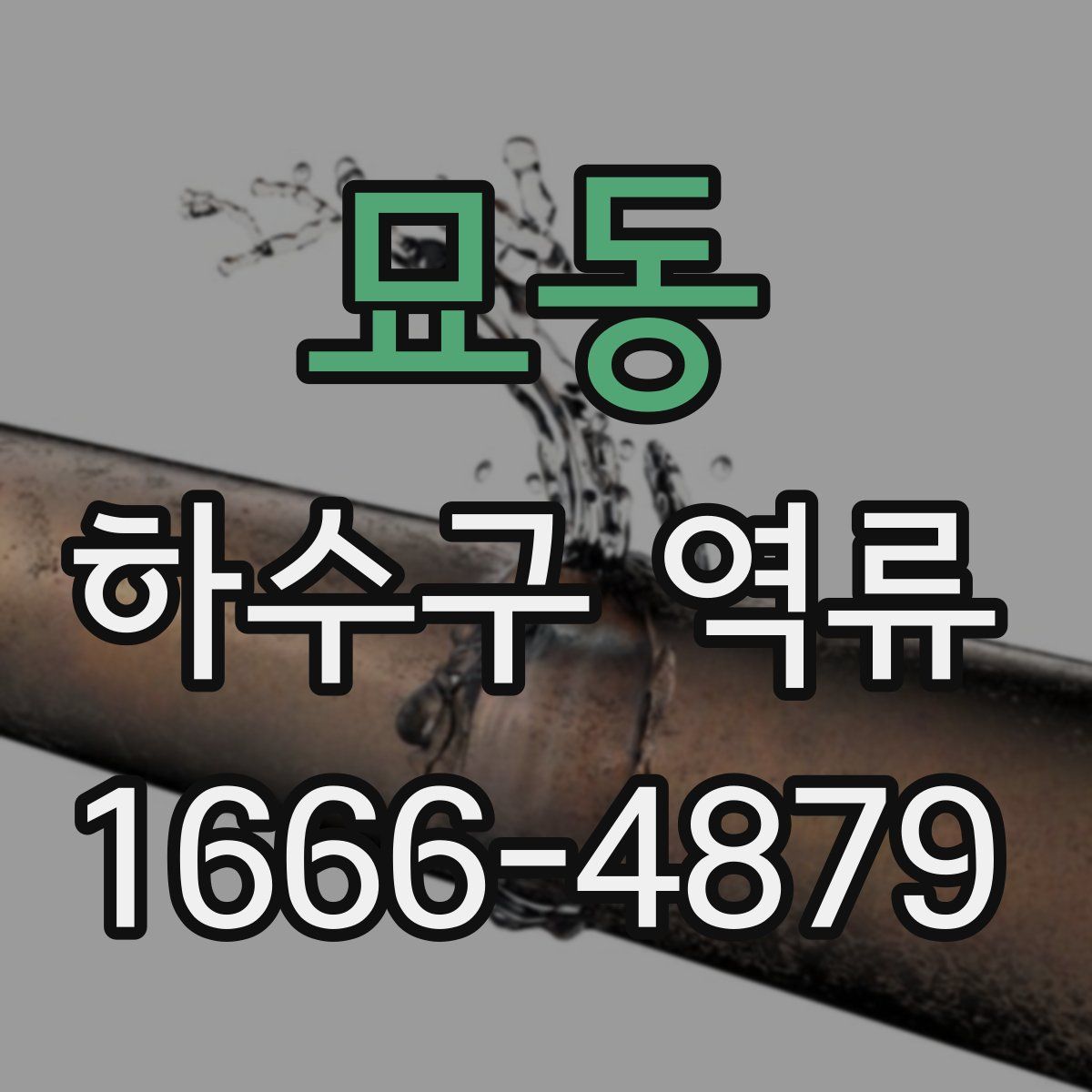 묘동 하수구 역류