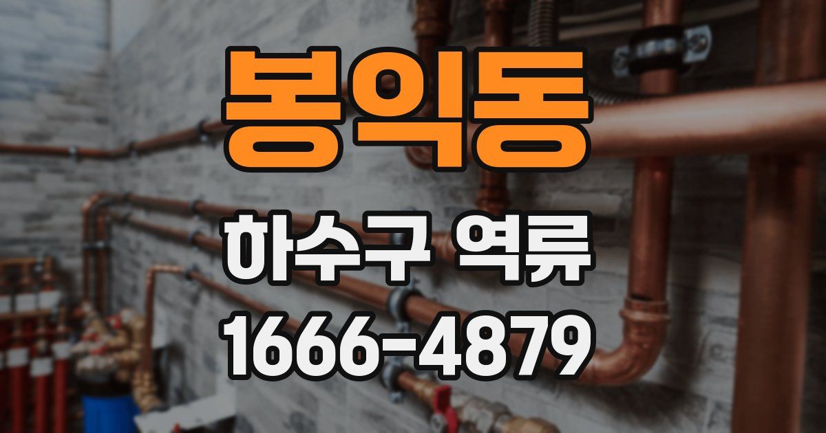 봉익동 하수구 역류