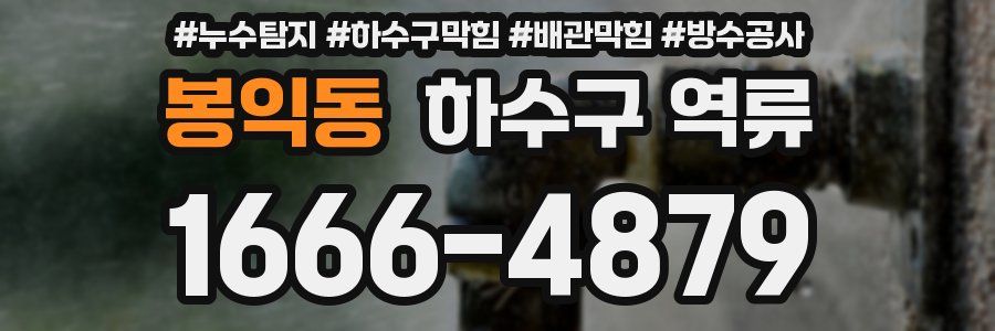 봉익동 하수구 역류