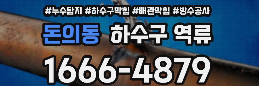 돈의동 하수구 역류