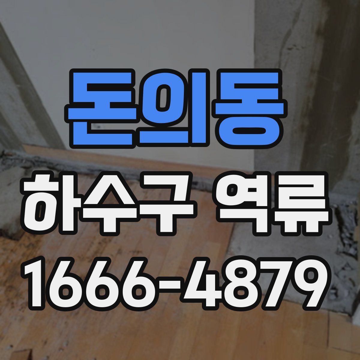 돈의동 하수구 역류