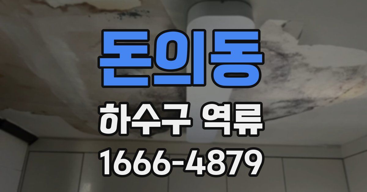 돈의동 하수구 역류