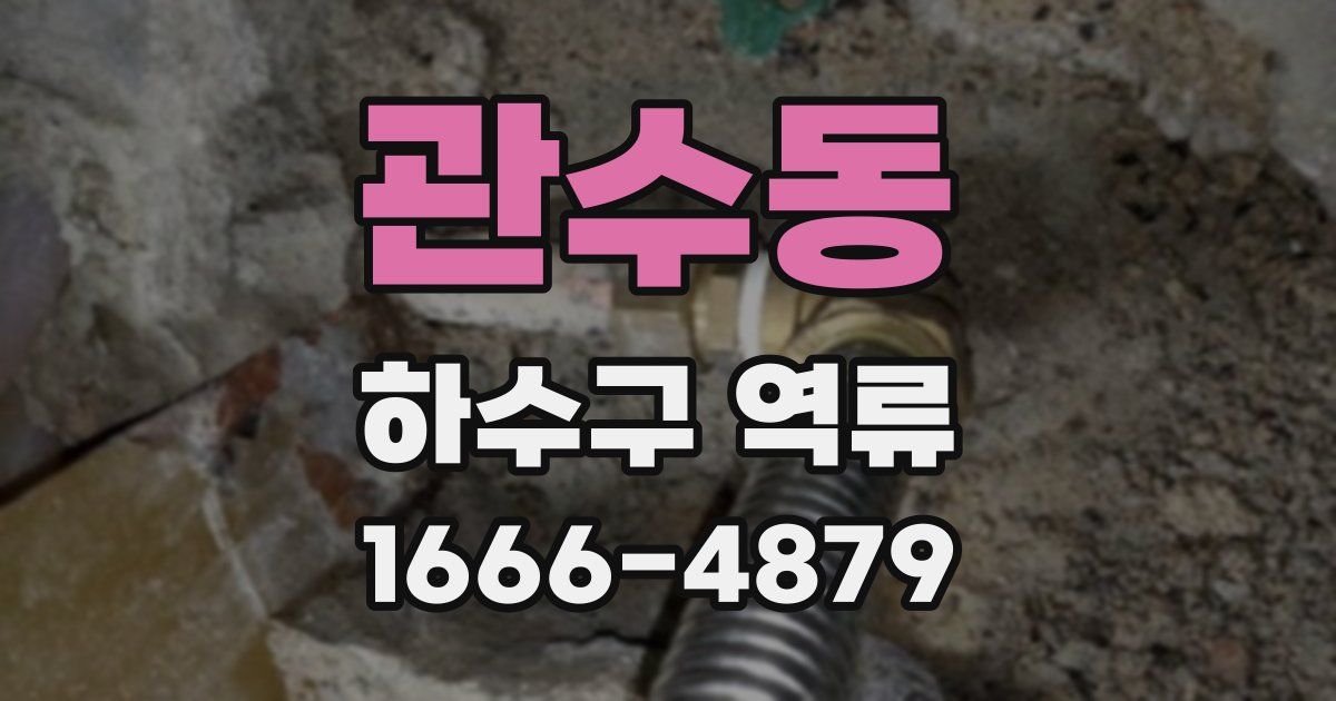 관수동 하수구 역류