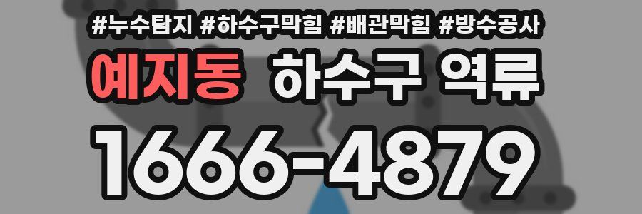 예지동 하수구 역류