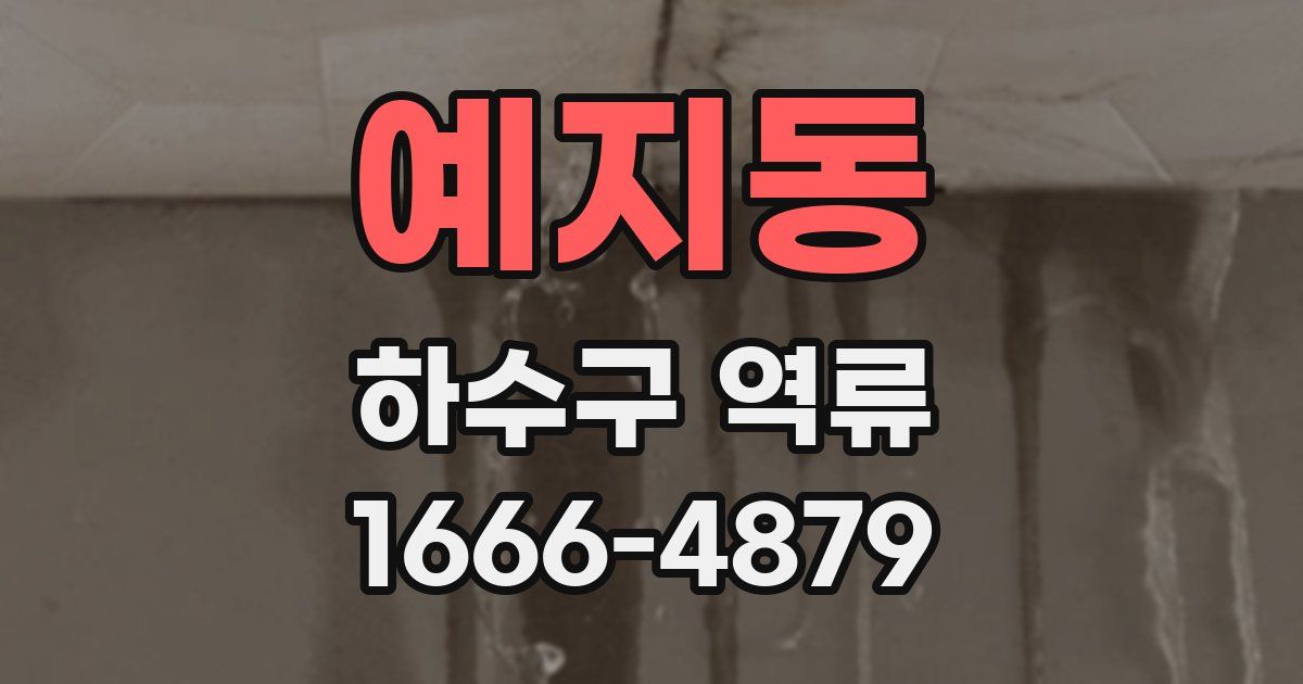 예지동 하수구 역류