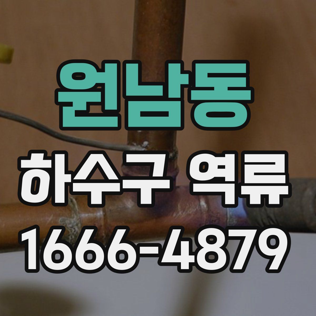 원남동 하수구 역류
