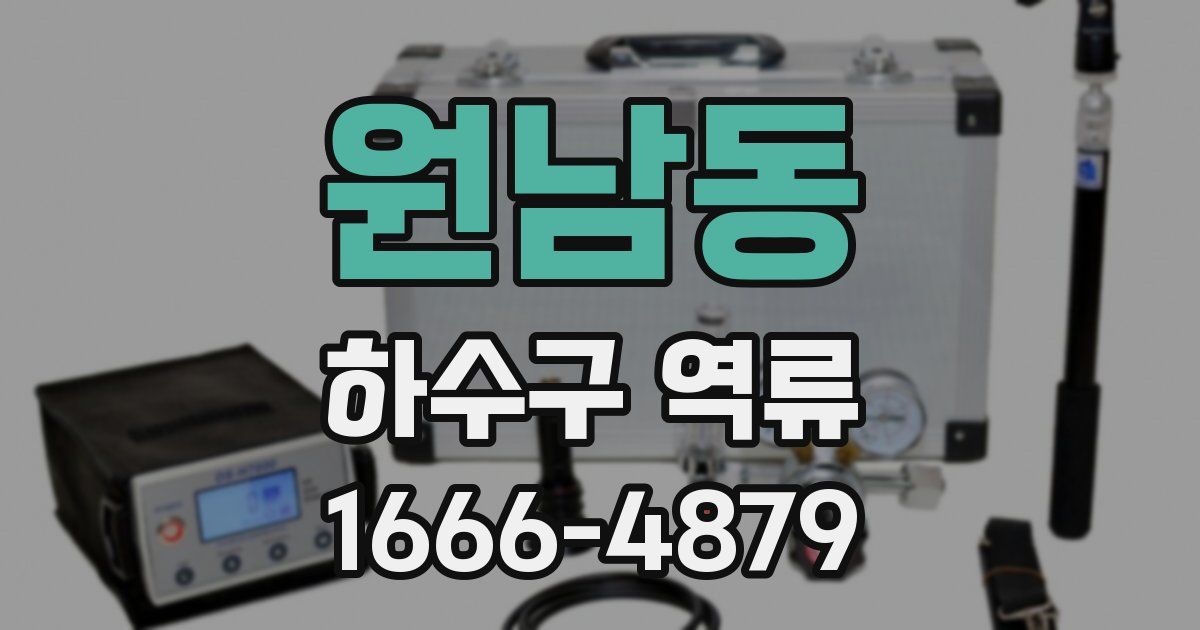 원남동 하수구 역류