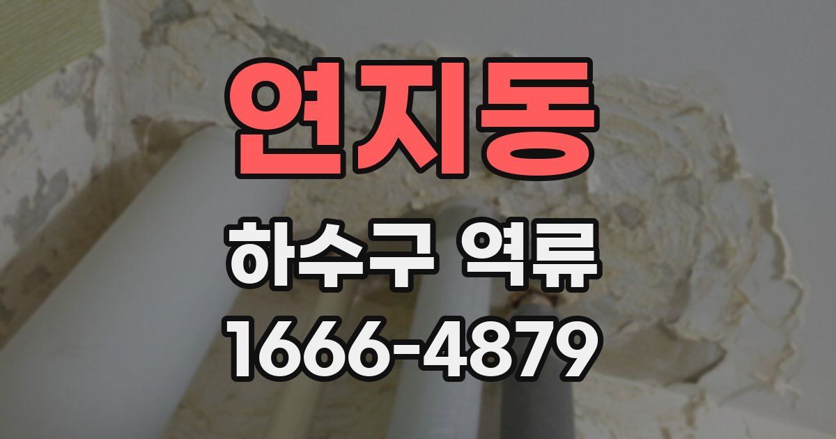 연지동 하수구 역류