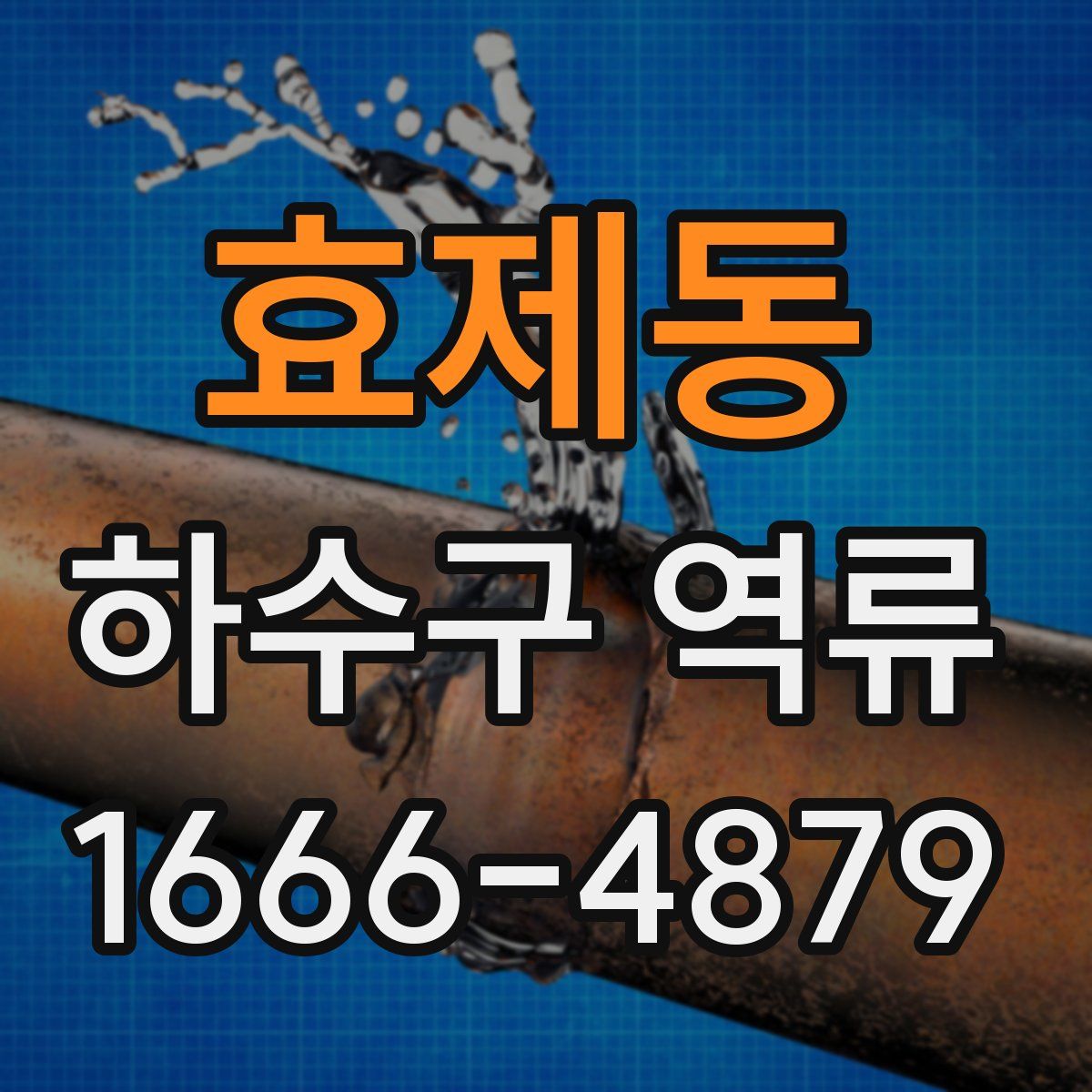 효제동 하수구 역류