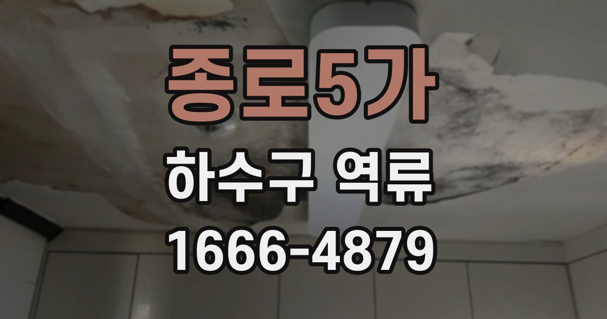 종로5가 하수구 역류
