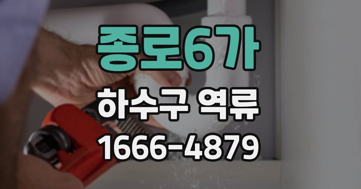 종로6가 하수구 역류