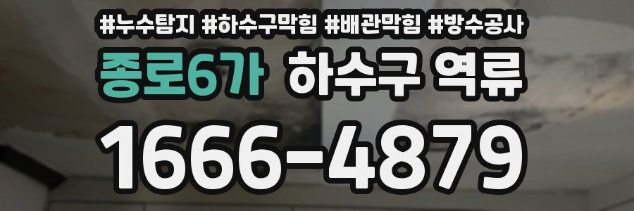 종로6가 하수구 역류