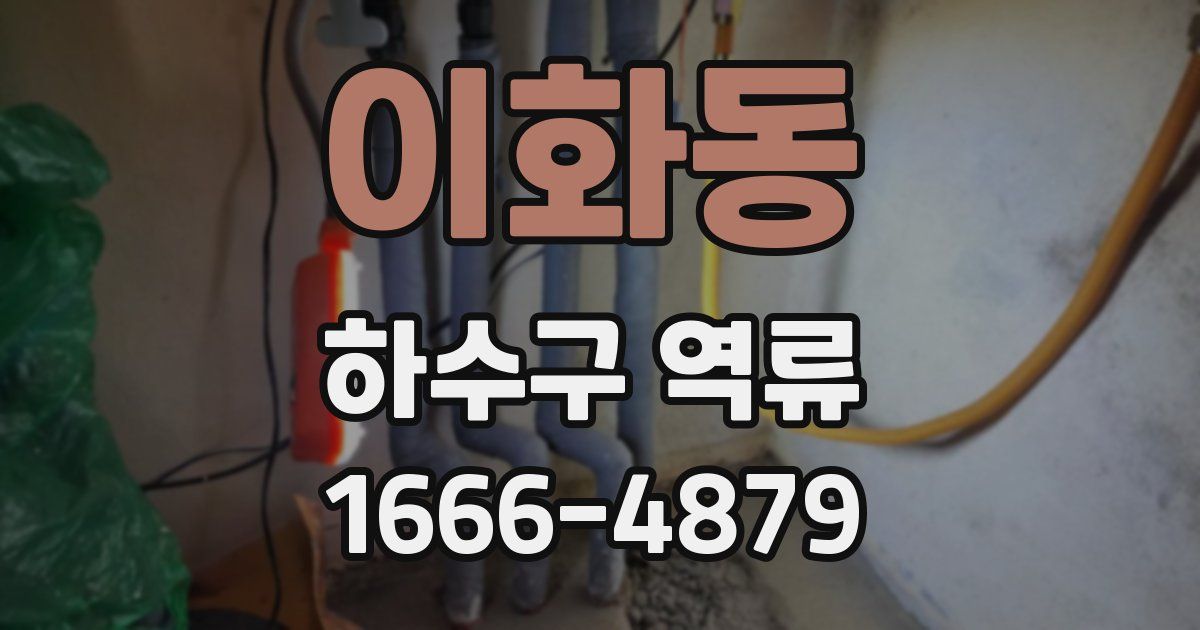 이화동 하수구 역류