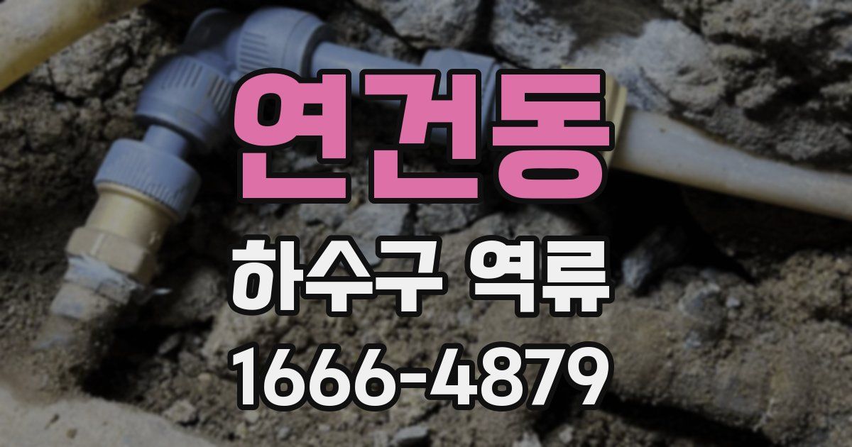 연건동 하수구 역류