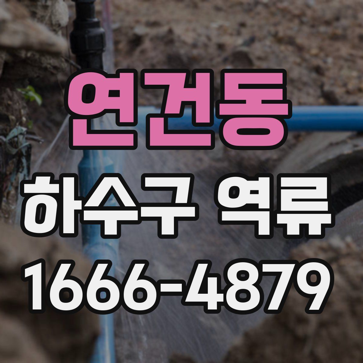 연건동 하수구 역류