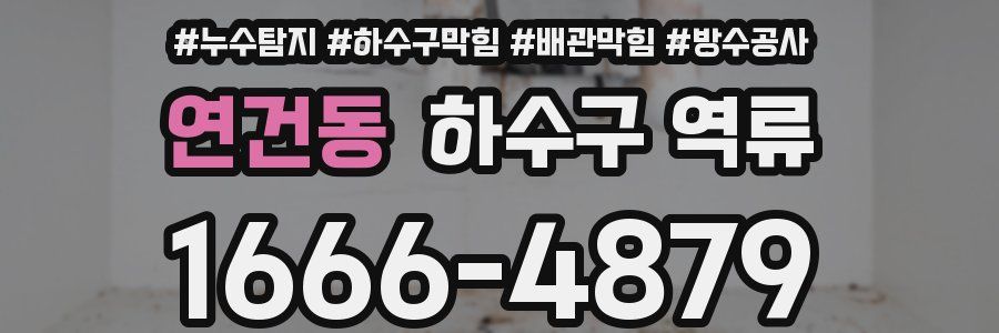 연건동 하수구 역류