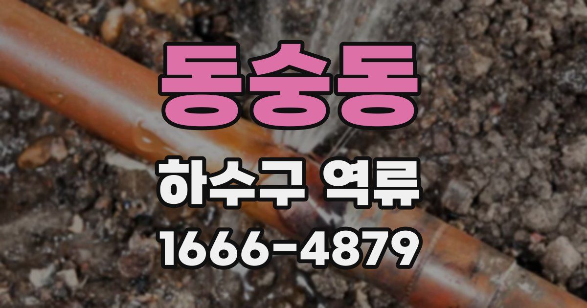 동숭동 하수구 역류
