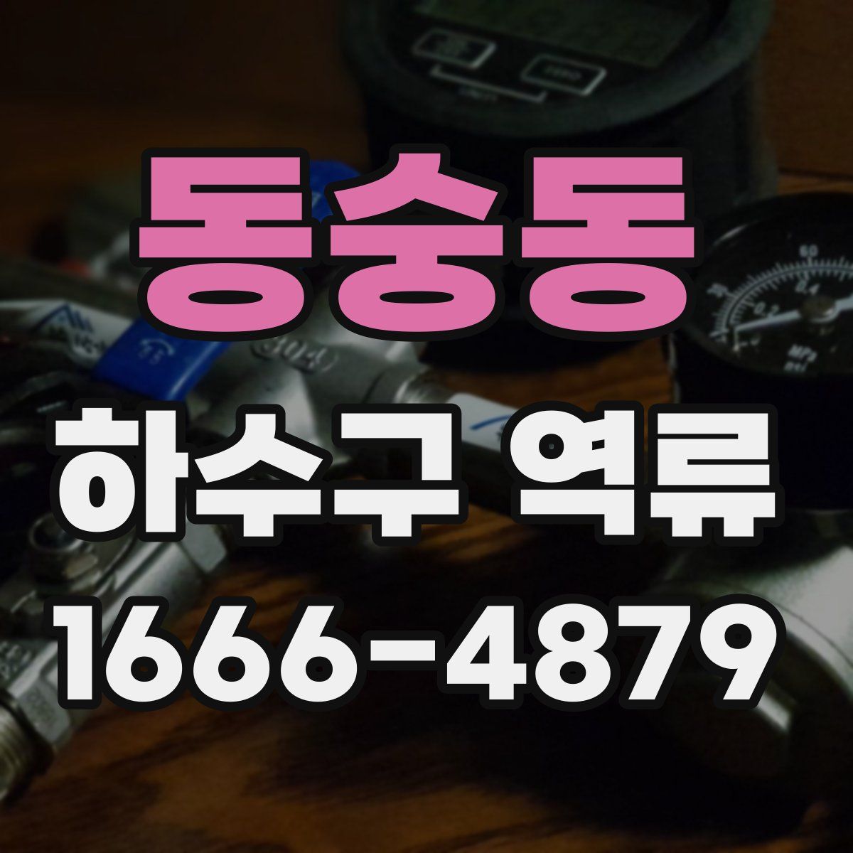 동숭동 하수구 역류
