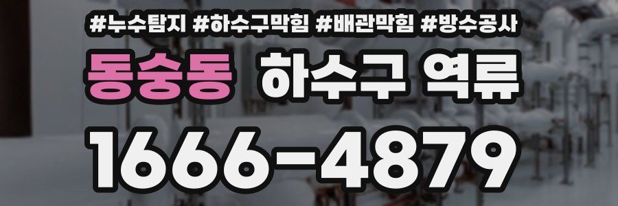 동숭동 하수구 역류