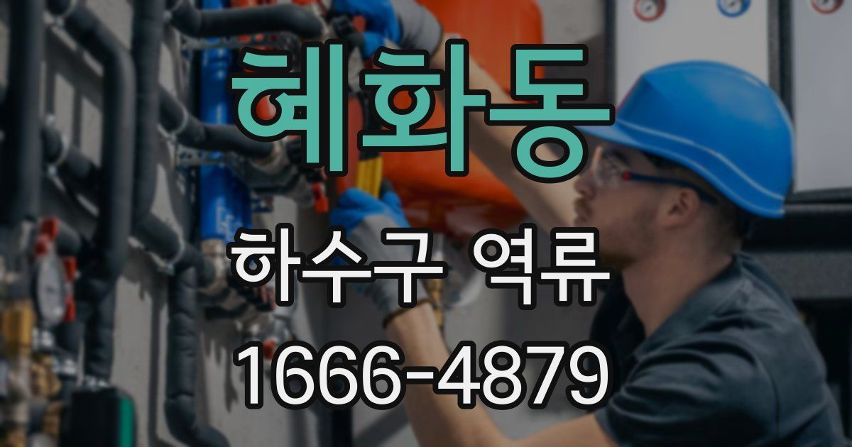혜화동 하수구 역류