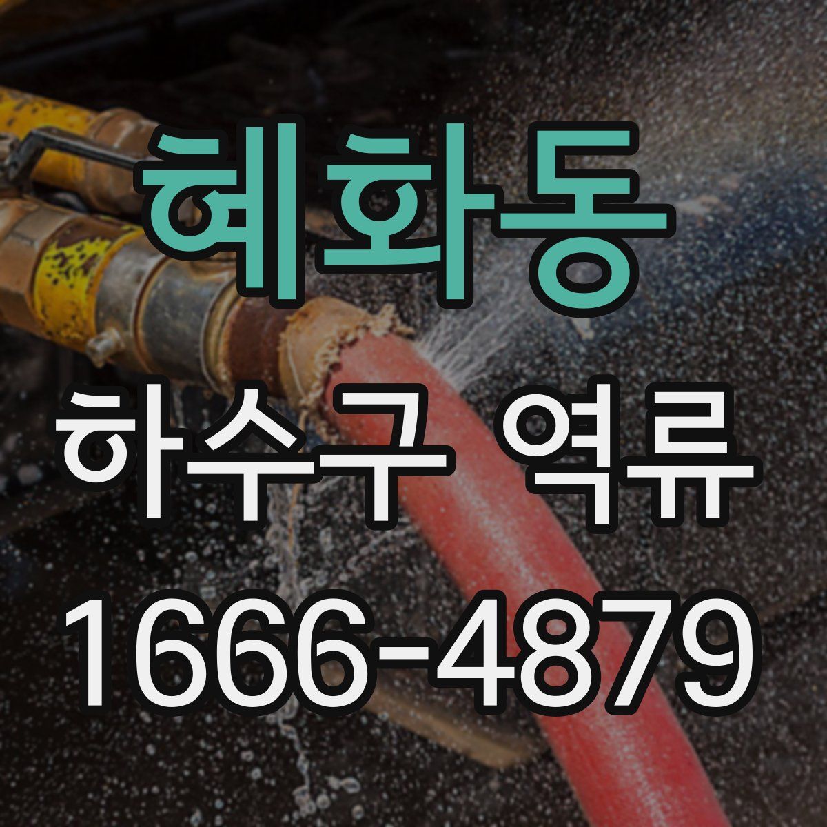 혜화동 하수구 역류