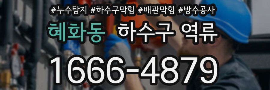혜화동 하수구 역류