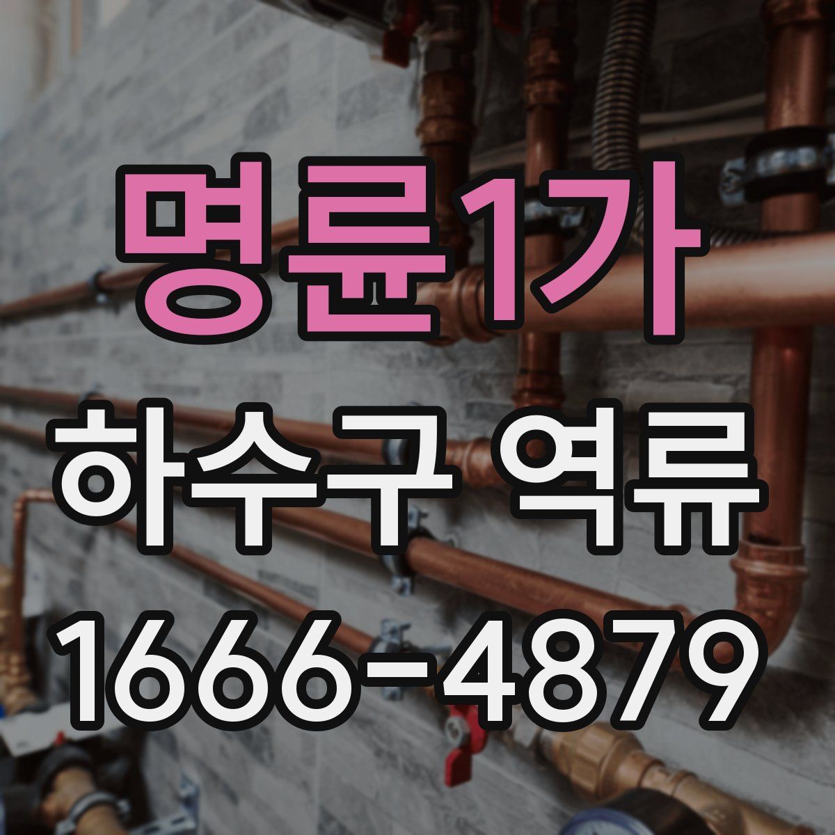 명륜1가 하수구 역류
