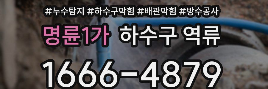 명륜1가 하수구 역류
