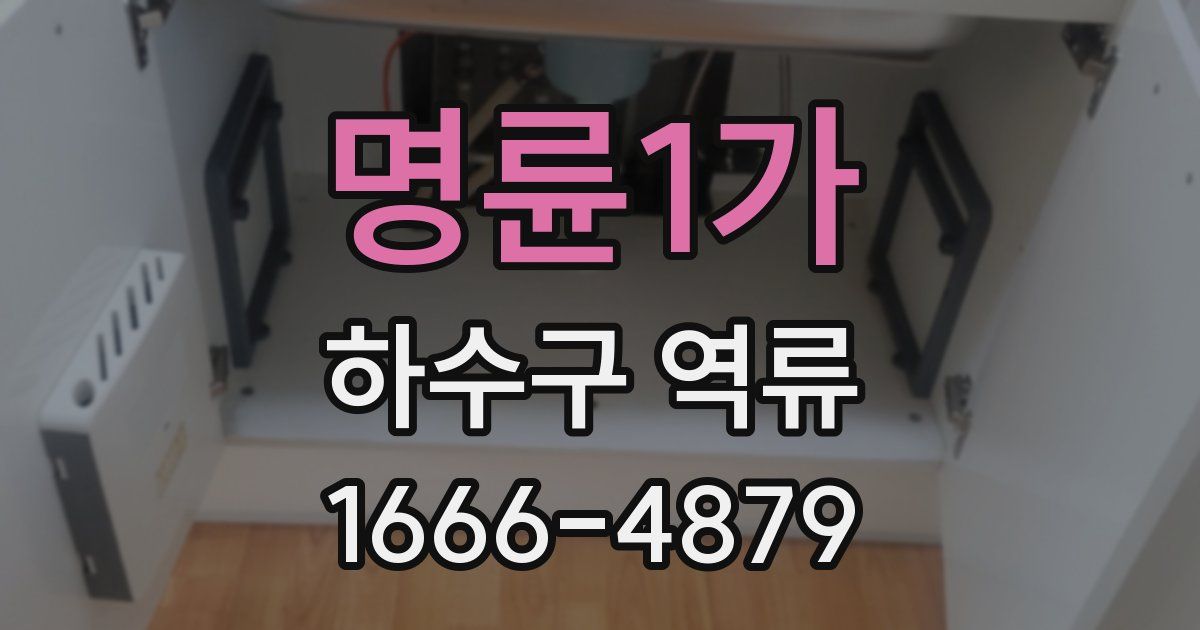 명륜1가 하수구 역류