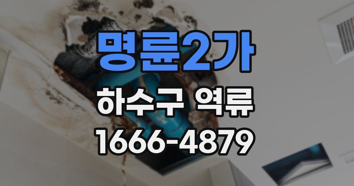명륜2가 하수구 역류
