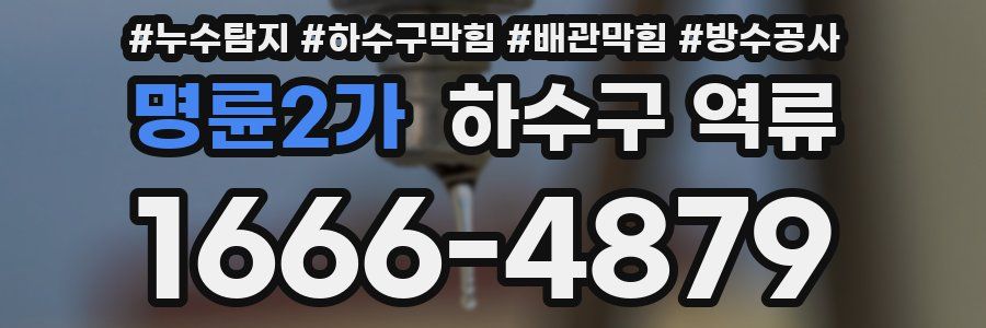 명륜2가 하수구 역류