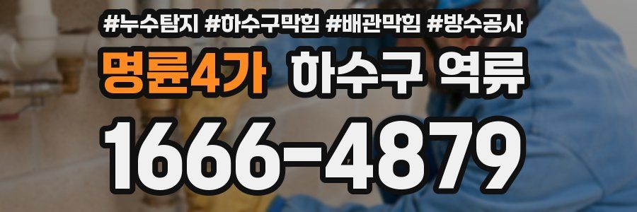 명륜4가 하수구 역류