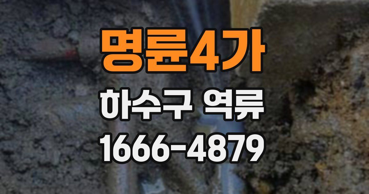 명륜4가 하수구 역류