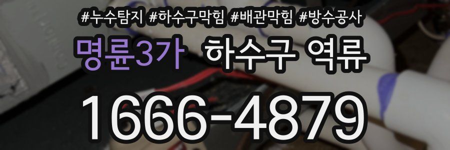 명륜3가 하수구 역류