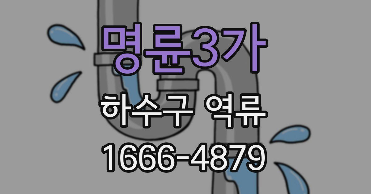 명륜3가 하수구 역류