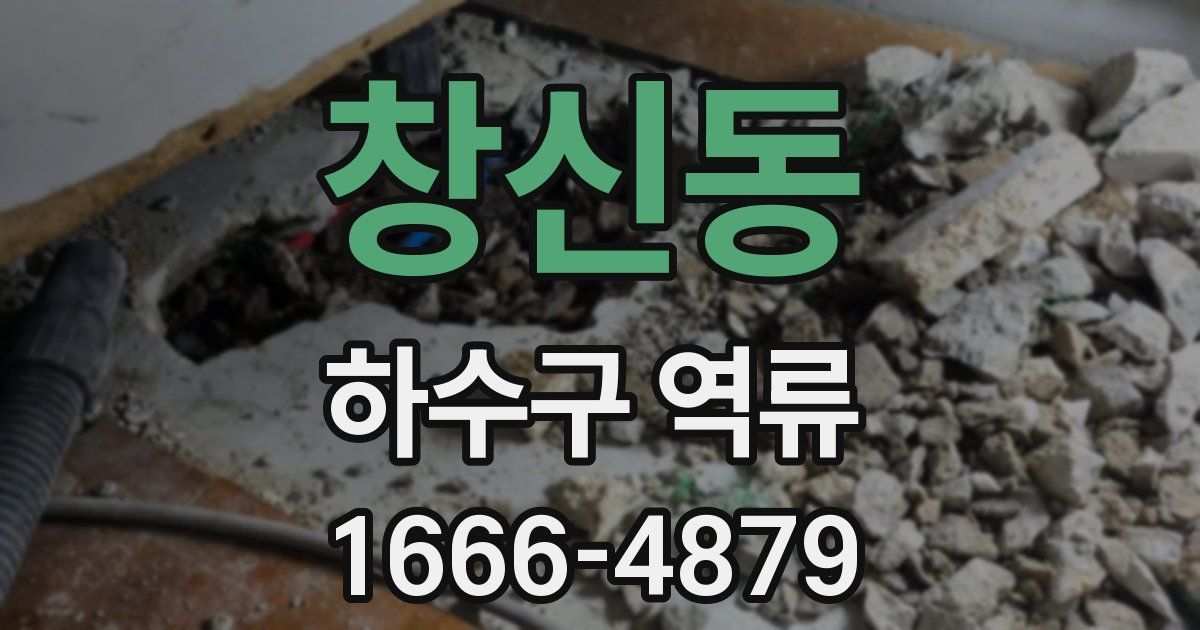 창신동 하수구 역류