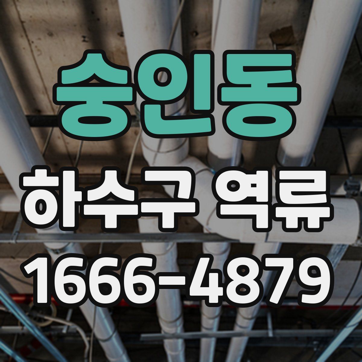 숭인동 하수구 역류