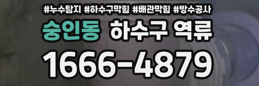 숭인동 하수구 역류