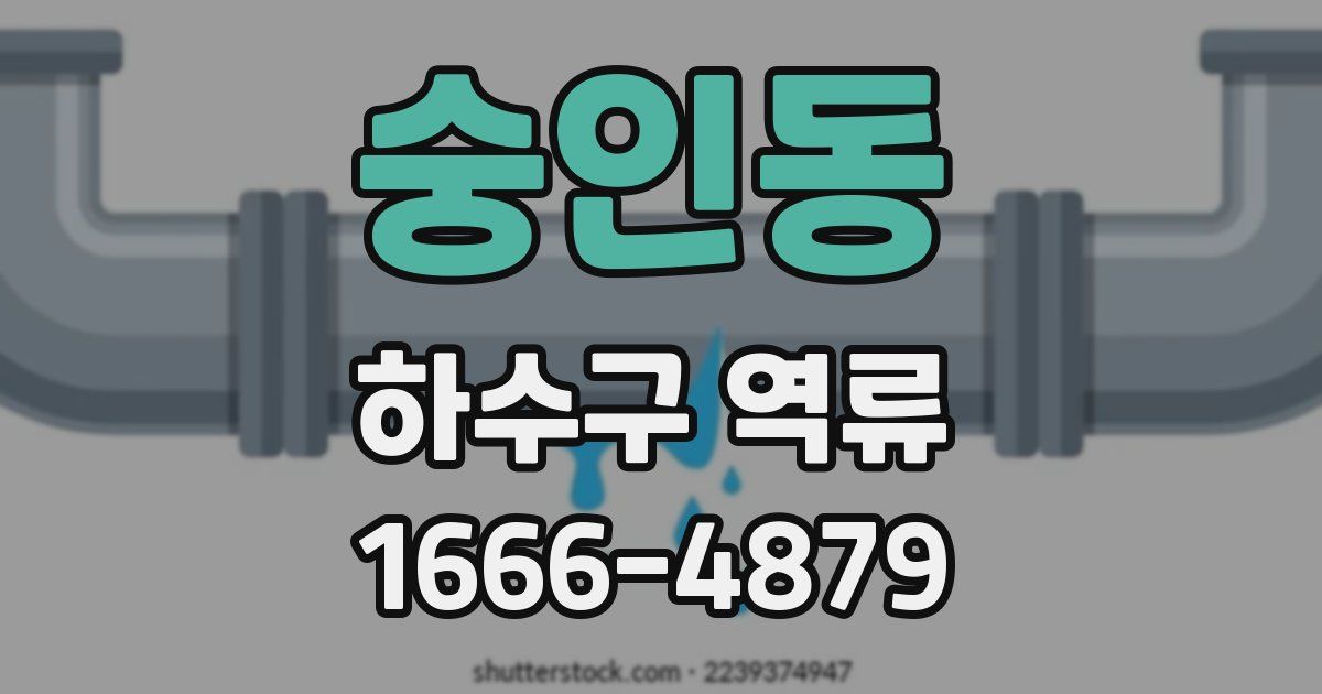 숭인동 하수구 역류