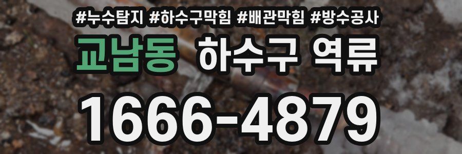 교남동 하수구 역류