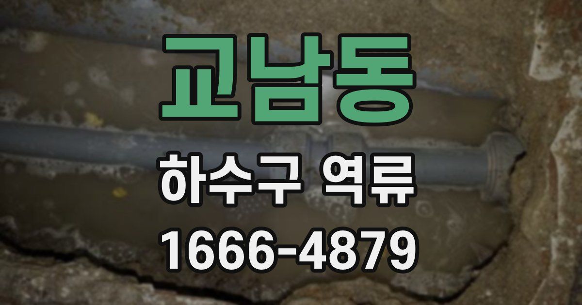 교남동 하수구 역류