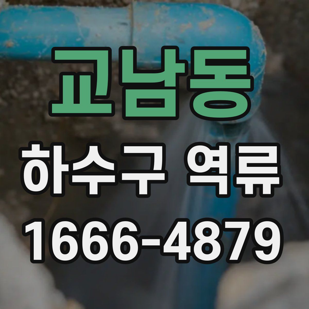 교남동 하수구 역류
