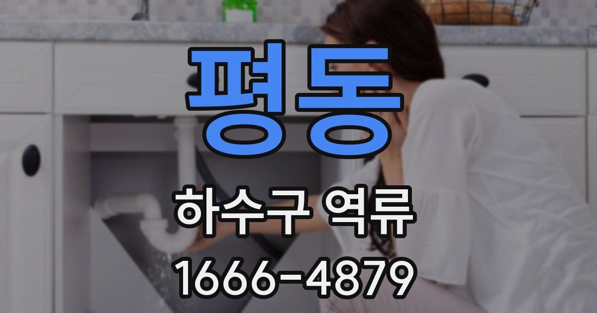 평동 하수구 역류
